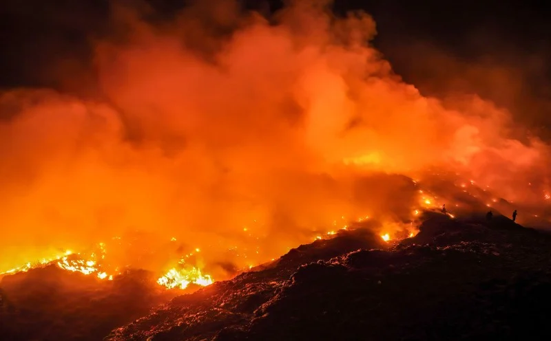 72 Individu ditahan disyaki cetus kebakaran hutan di Indonesia
